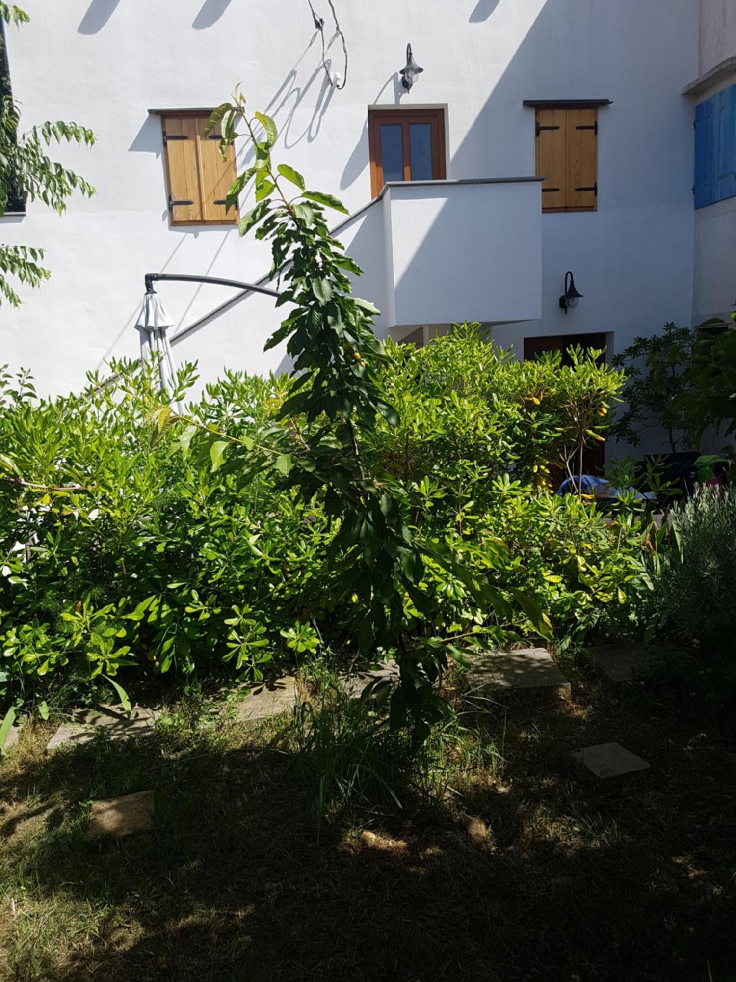 Apartman Stella Maris Veli Lošinj 外观 照片